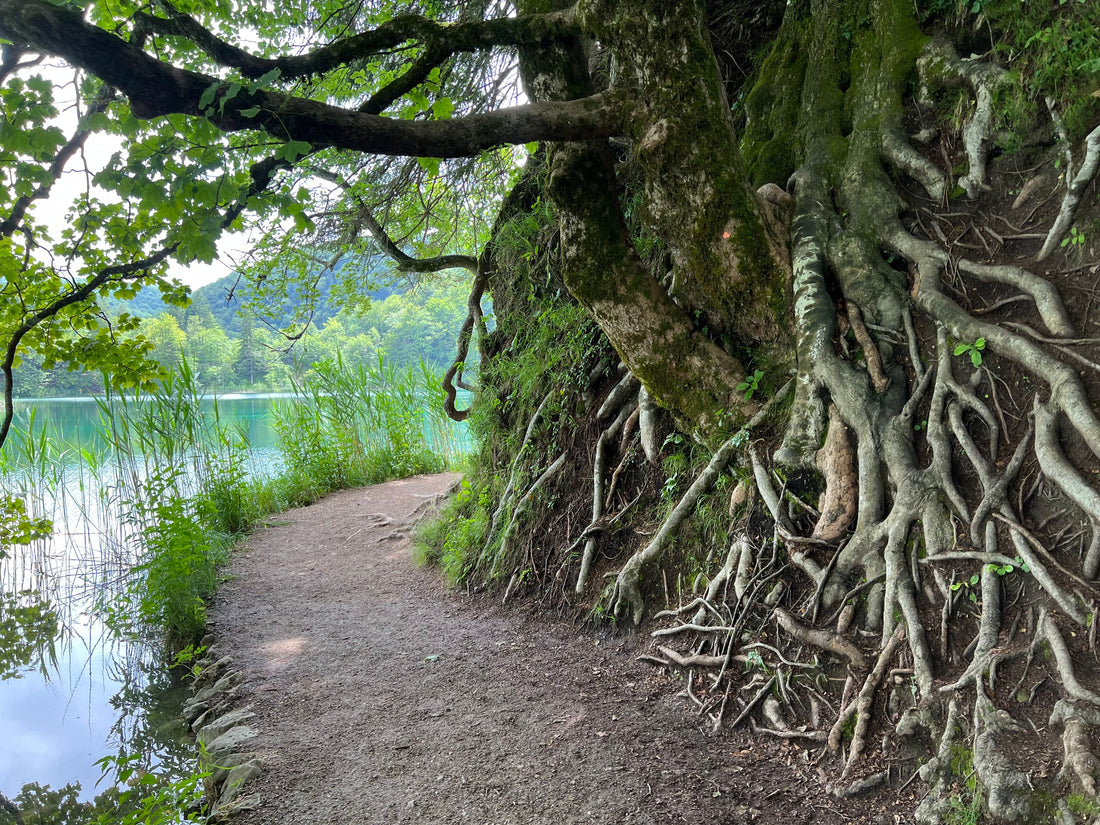 When Nature Leads the Way